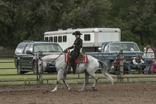 HorseID: 2304709 GBH BLUE SKY DRIFTER - PhotoID: 1098965