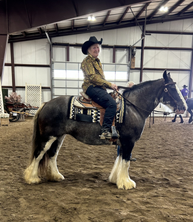 HorseID: 2305023 Feathered Gold Denali - PhotoID: 1088214
