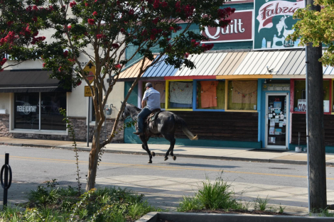 HorseID: 2305038 RJ - PhotoID: 1098401