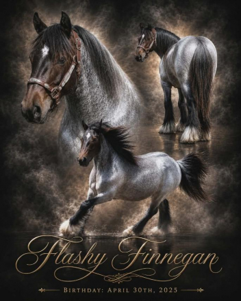 HorseID: 2305340 RTI Jumping Jack Flash - PhotoID: 1088674
