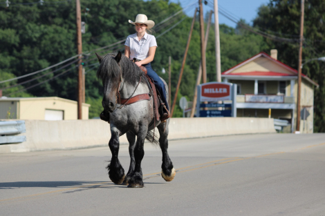 HorseID: 2305574 Big Easy - PhotoID: 1097178