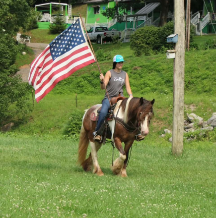 HorseID: 2306386 SKITTLES - PhotoID: 1098970