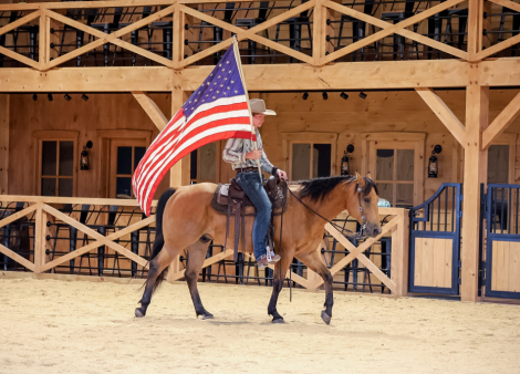 HorseID: 2306693 CONCHO - PhotoID: 1102485