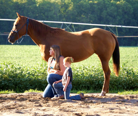 HorseID: 2306934 TANSY - PhotoID: 1090739