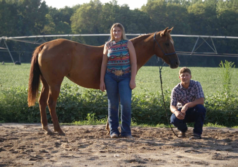 HorseID: 2306934 TANSY - PhotoID: 1090740