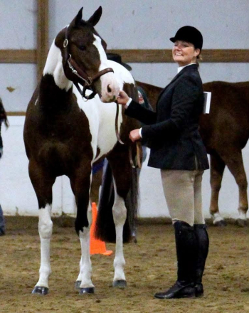 HorseID: 2307858 Twist of Fiction - PhotoID: 1091933