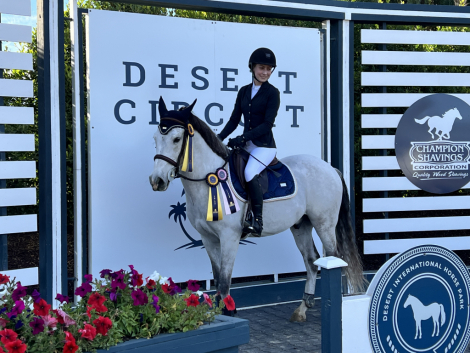 HorseID: 2308053 Dallas Cowboy - PhotoID: 1105236
