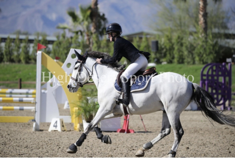 HorseID: 2308053 Dallas Cowboy - PhotoID: 1105237