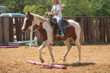 HorseID: 2308121 COWGIRL - PhotoID: 1092208