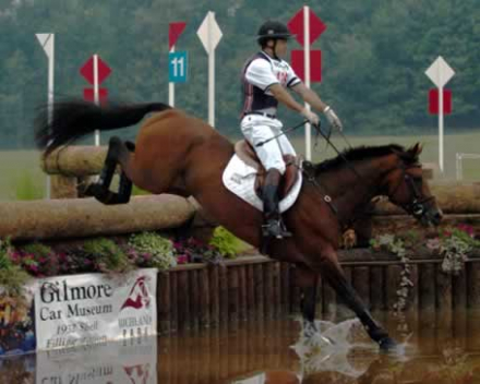 HorseID: 2308414 Giana - PhotoID: 1105074