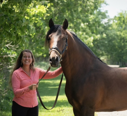 HorseID: 2308922 Manguito Atrevido - PhotoID: 1093405