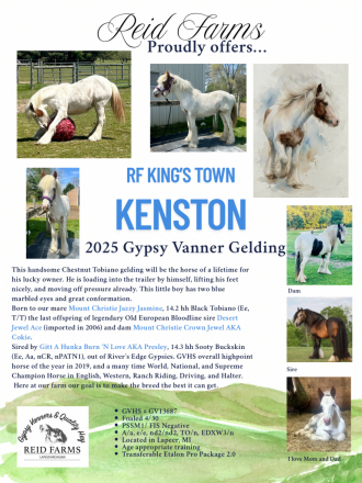 HorseID: 2309300 RF King's Town Kenston - PhotoID: 1093653