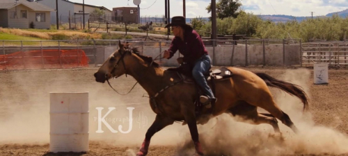 HorseID: 2310182 SL Dashing Duke - PhotoID: 1094794