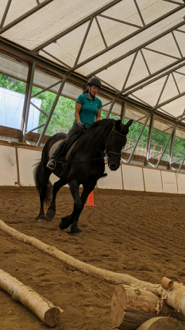 HorseID: 2310684 Angelita Alonso - PhotoID: 1103770
