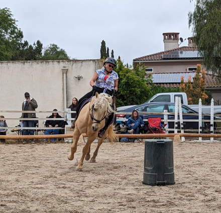 HorseID: 2311440 Odin - PhotoID: 1105188