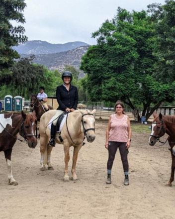 HorseID: 2311440 Odin - PhotoID: 1105189