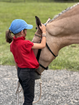 HorseID: 2311574 On Target - PhotoID: 1105129