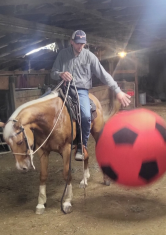 HorseID: 2313131 CD PEPPY GUY - PhotoID: 1103805