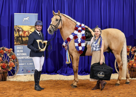 HorseID: 2313707 Xorcerer POWR - PhotoID: 1099222