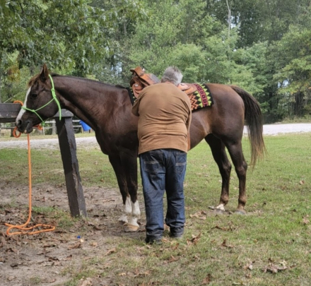 HorseID: 2314571 Coolant Dot Zip Win - PhotoID: 1104549
