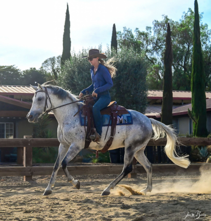 HorseID: 2314674 London Fog - PhotoID: 1100450