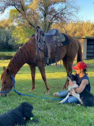 HorseID: 2314718 Lil Spoonful O Chex - PhotoID: 1100511
