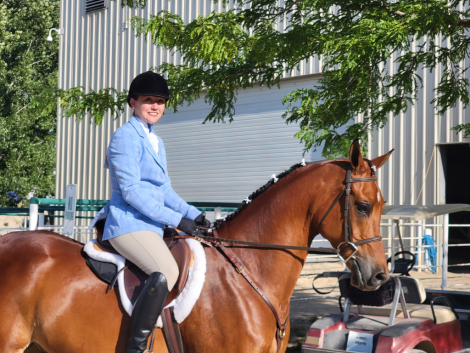 HorseID: 2315132 DA Cosmo - PhotoID: 1104930