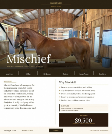 HorseID: 2315623 Mischief Managed - PhotoID: 1101757