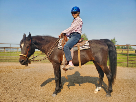 HorseID: 2316304 Valor - PhotoID: 1103408