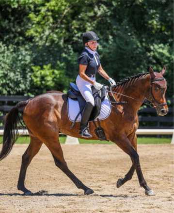 HorseID: 2316555 Vincent van Go - PhotoID: 1104691