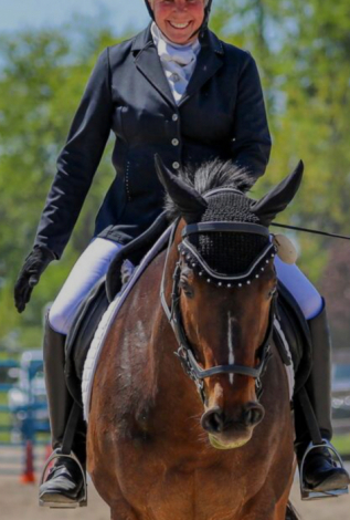 HorseID: 2316555 Vincent van Go - PhotoID: 1104719