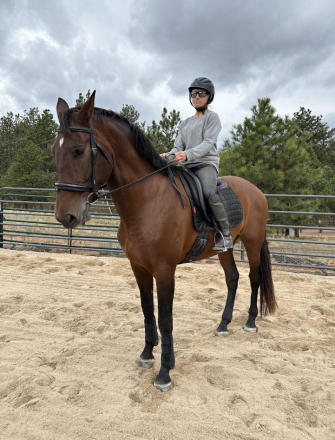 HorseID: 2316756 Bambeleo XII - PhotoID: 1104229