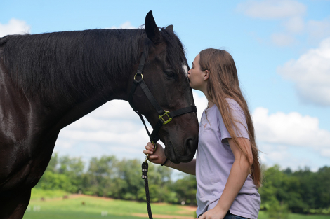HorseID: 2316760 Drastic Measures - PhotoID: 1103337