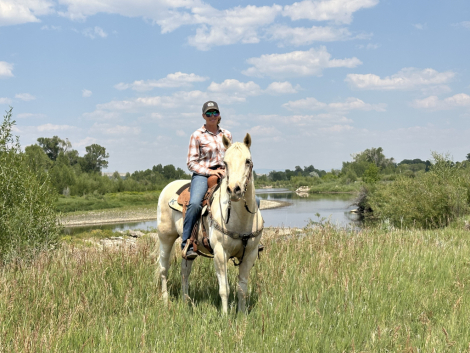 HorseID: 2316761 Lilly - PhotoID: 1103339