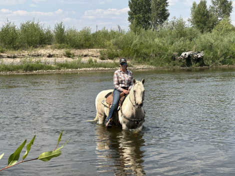 HorseID: 2316761 Lilly - PhotoID: 1103341