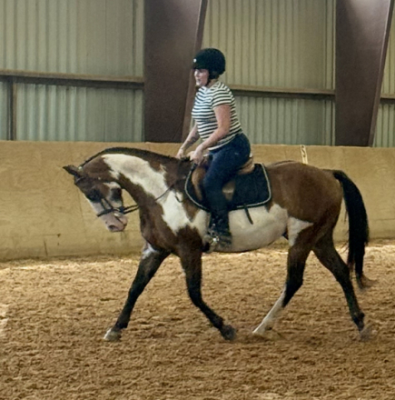 HorseID: 2316776 Rapidash - PhotoID: 1103370