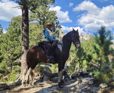HorseID: 2316790 Bay Ride Outlaw - PhotoID: 1103451
