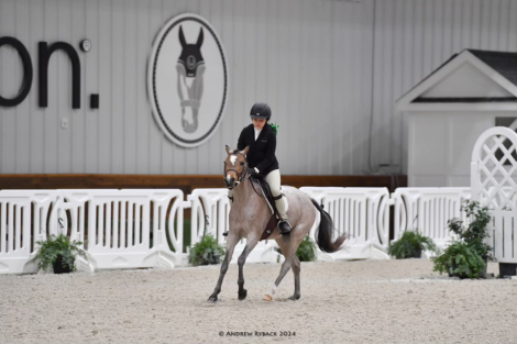 HorseID: 2316830 Blueberry - PhotoID: 1103469