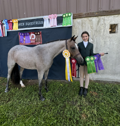 HorseID: 2316830 Blueberry - PhotoID: 1103471