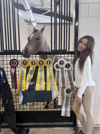 HorseID: 2316830 Blueberry - PhotoID: 1103472