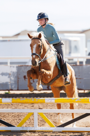 HorseID: 2316841 Ruby - PhotoID: 1103416