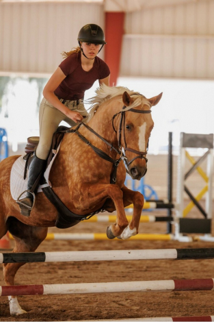 HorseID: 2316841 Ruby - PhotoID: 1103418