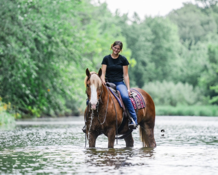 HorseID: 2316857 Duke - PhotoID: 1103446
