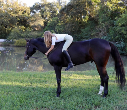 HorseID: 2316891 Oh Henry Im Fancy - PhotoID: 1104081