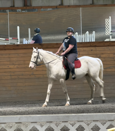 HorseID: 2316893 Kaiju - PhotoID: 1103480