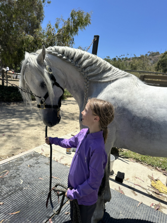 HorseID: 2316896 Sim - PhotoID: 1103486