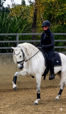 HorseID: 2316896 Sim - PhotoID: 1103487
