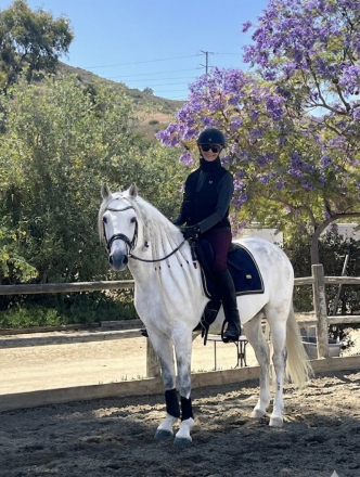 HorseID: 2316896 Sim - PhotoID: 1103489