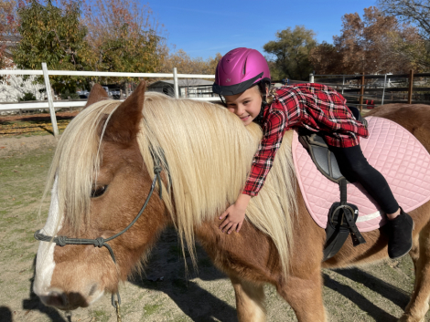 HorseID: 2316898 Danny - PhotoID: 1103497