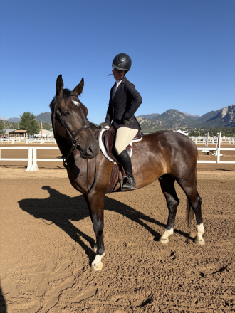 HorseID: 2316905 King - PhotoID: 1103514